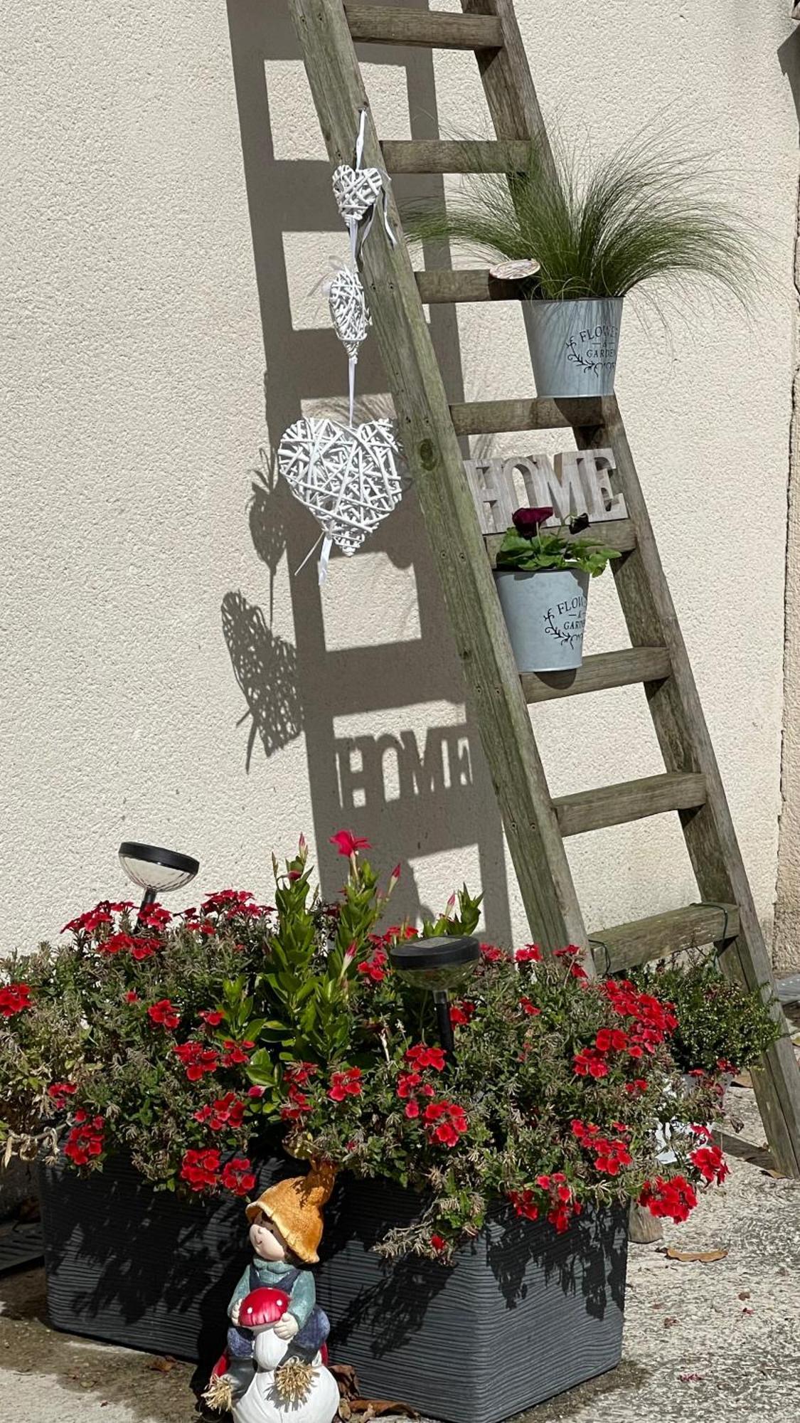 Studio Les Petits Lutins Entraigues-sur-la-Sorgue Exterior photo